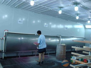 油漆噴漆廠廢氣處理中均四甲苯的達(dá)標(biāo)性分析